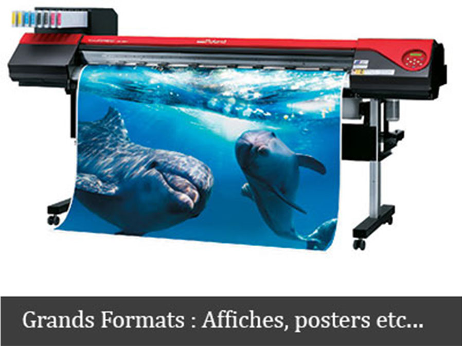 grande imprimante numerique imprimant affiche représentant des dauphins
